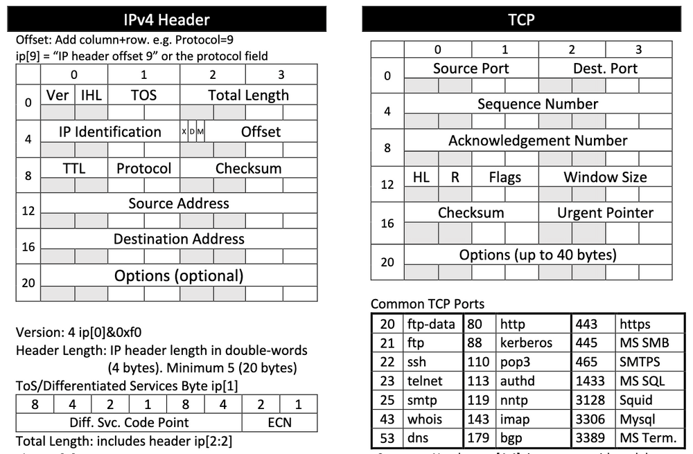 Say hello to your new best friend