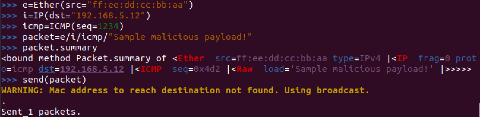 Custom packet built and sent in Scapy to test our detections